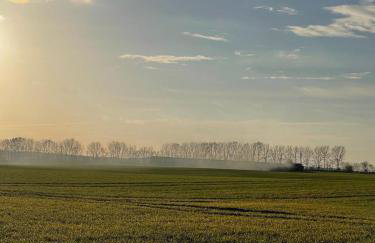Sonnengelb - Fulgenhaus - Foto 18
