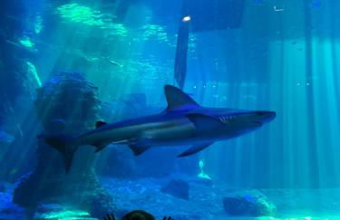 La parenthèse Parking Privatif-Terrasse-Nausicàa - Foto 39