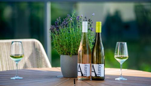 Moselappartements by Weingut Marco Adamy - Foto 4