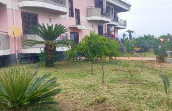 aranceto dell'Etna - Foto 22