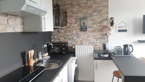 Songe Tropical-InvIRI. Studio CHU. Parking Aisé. - Foto 3