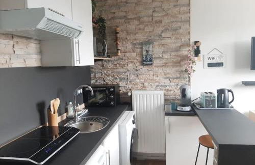 Songe Tropical-InvIRI. Studio CHU. Parking Aisé. - Foto 3