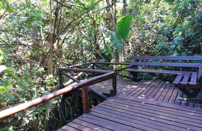 Caribbean Estate Deluxe - Photo 47