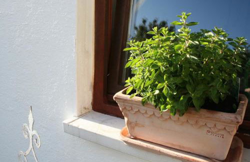 Apartment An der Weinstraße - Foto 20