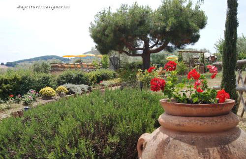 Agriturismo Signorini - Foto 58