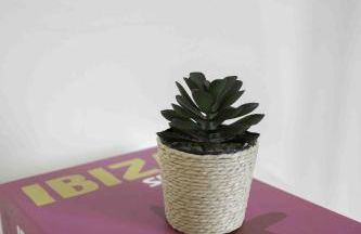 Braelochan Stay - Foto 9