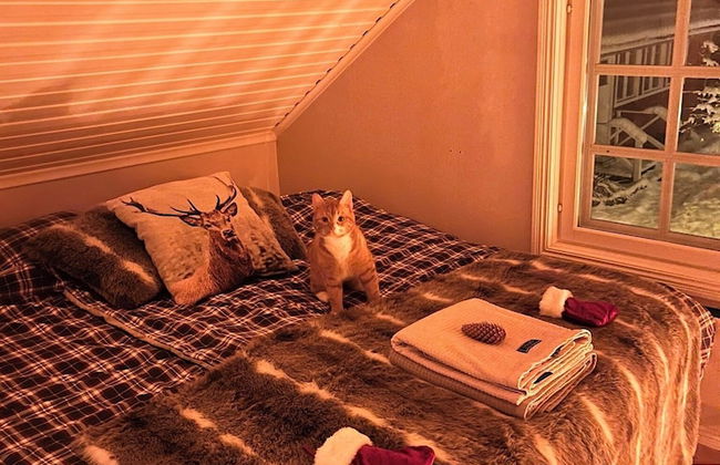 Charming Property With Private Pool - Foto 4