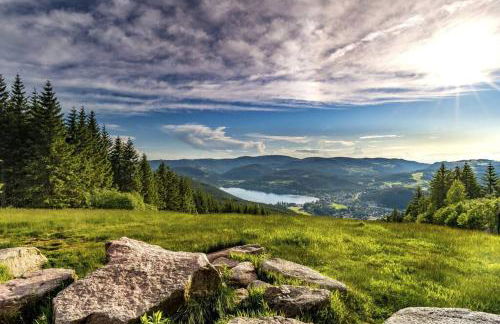 Waldklang Titisee - mit Terrasse und Gartenzugang - Foto 29