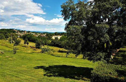 Haus Delma - Photo 18