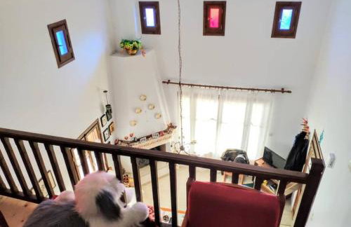 Villa Annoula - Photo 25