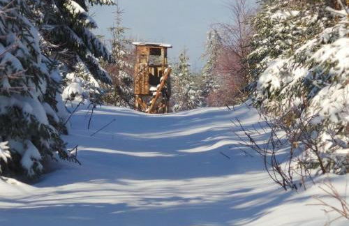 Apartment Fewo Am Skihang OG by Interhome - Foto 10