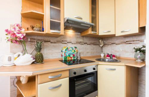 APARTMANI I SOBA ROBERTO I MIRJANA - Foto 57