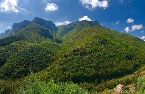 Oliveto stunning property with private garden - Photo 17