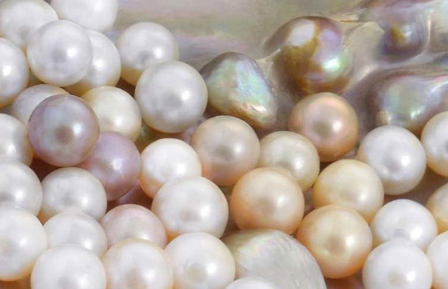 Pearl Farm Guided Tour - Photo 1