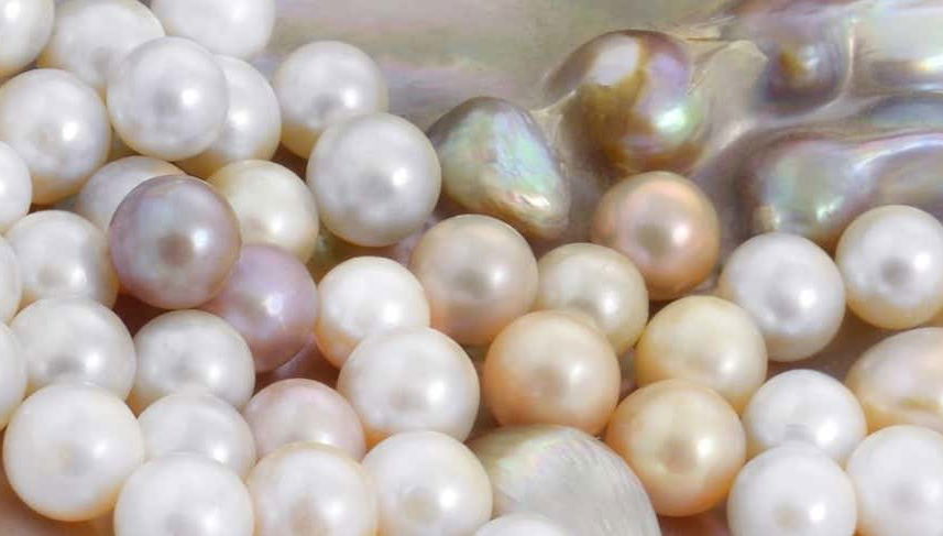 Pearl Farm Guided Tour