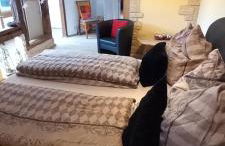 Glori 's Fewo - Foto 6