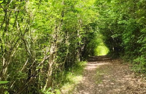 Amazing Apartment In Marzabotto - Photo 10