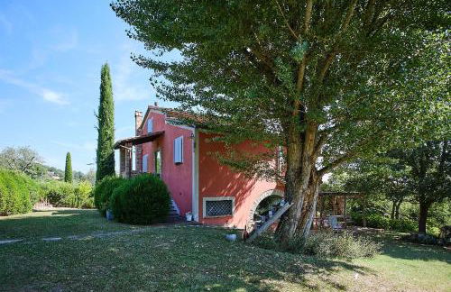 Il Vecchio Milipano - Foto 37