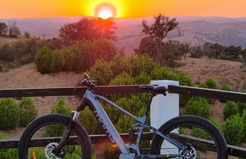 Monte do Alento - Castro da Cola - Foto 61