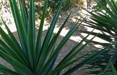 Nature House Lagos do Sabor - Foto 42