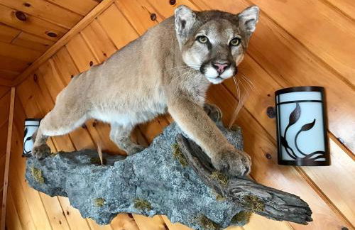 Spectacular Vermont Mountain Retreat! - Foto 23