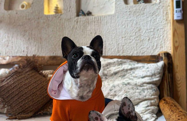 Loft Country Kas - Foto 8