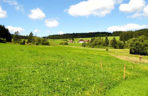 Ferienwohnung Schwarzwaldhof - Foto 27