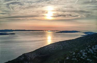 Sea garden Grilov - Foto 39