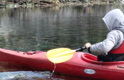 Coastal Camping Cabin with Wood-Burning Stove on Whale Island, Alaska - Foto 23