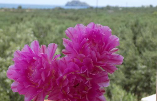 Alkionides Villas - Foto 26