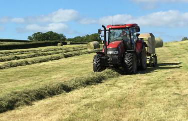 Creber Cottage - Foto 32