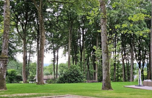 La Maison du Grand Sapin - Foto 19