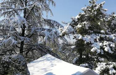 Maison avec jardin à Villeneuve-de-Berg, piscine partagée - Photo 19