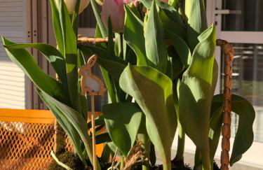 Casa "Le Rondinelle" - Foto 7