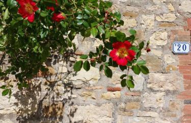 Agriturismo San Sano - Foto 16