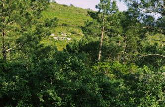 Casa Oliva - Casa da Serra - Foto 34