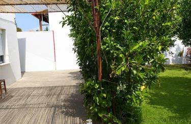 SOFIAS APARTMENTS in LESVOS - Photo 23