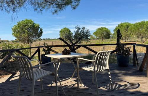 LE DOMAINE D'AMBRE La maison des Vendangeurs - Photo 17