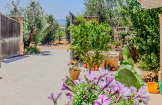 Pajara La Fava - Foto 30