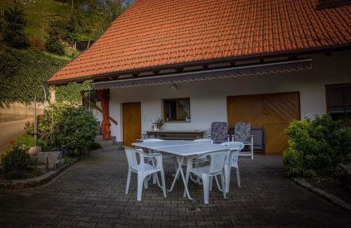 Ferienwohnungen Müller - Foto 6