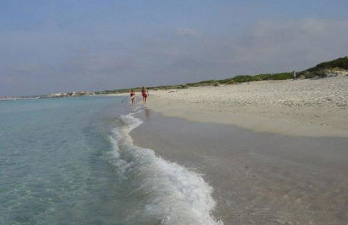 Sa Rapita Es-Trenc Ferienhäuser - Foto 55