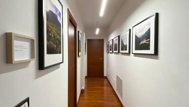 Relais tra gli Ulivi - Foto 4