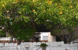 Mission Bay Studio w Ocean Views from Rooftop Deck - Foto 33