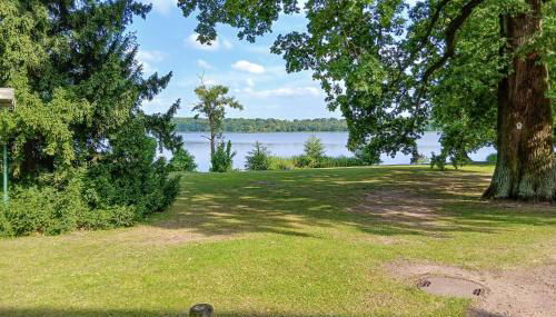 Ferienhaus Dobbin - Photo 4