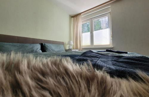 Haus Am Beckerberg im Harz - Foto 21