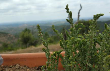 Casa ATMAN - Foto 60