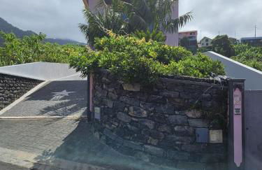 Casa da Palmeira - Photo 9