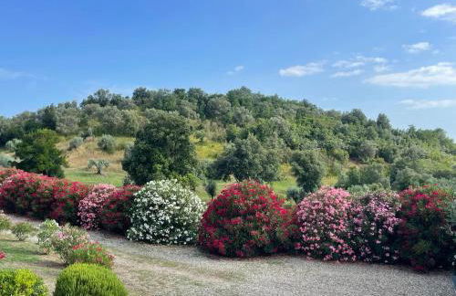 Tenuta Montemassi Podere Montauzzo - Foto 5