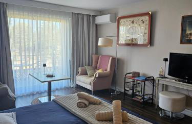 studio classé 3 étoiles, Anglet Chiberta ocean golf surf - Photo 2