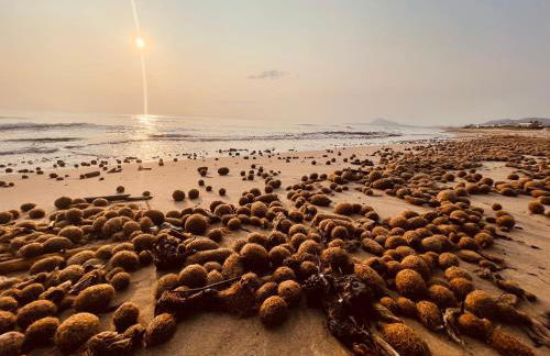 La IBICENCA & JACUZZI by XimoApartments - Photo 55